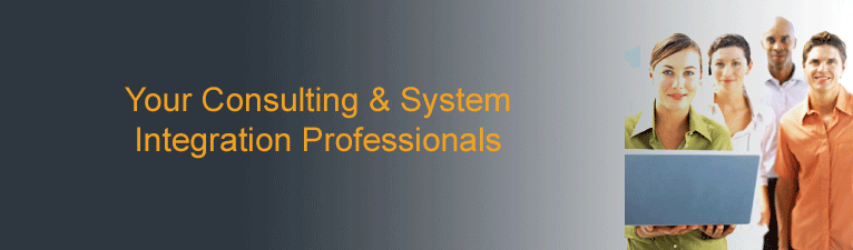 Your Consulting & System Integration Professionals, Strategic & Business Analysis, Business Process Optimization, Technical Design, Information Architecture