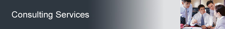 Consulting Services, JCDS Solutions Montreal